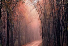 航天机电太阳能售后服务预约热线阐明（航天机电太阳能热水器水桶如何拆）