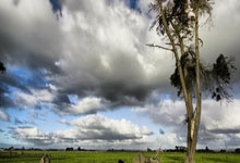 航天机电太阳能售后服务预约热线阐明（航天机电太阳能热水器水桶如何拆）